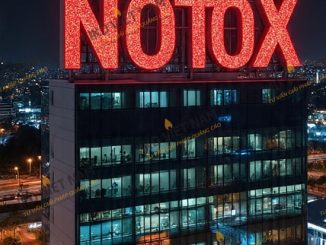 Chữ nổi inox gắn Led tòa nhà