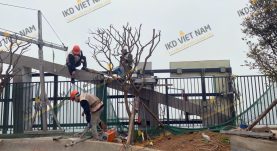 Công ty Thiết kế thi công lắp đặt biển hiệu tòa nhà tại Hà Nội